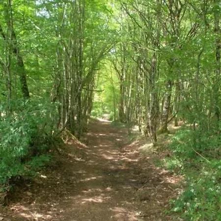 Confortable A Avec Internet - Fr-1-616-533 Saint-Sulpice-d'Excideuil