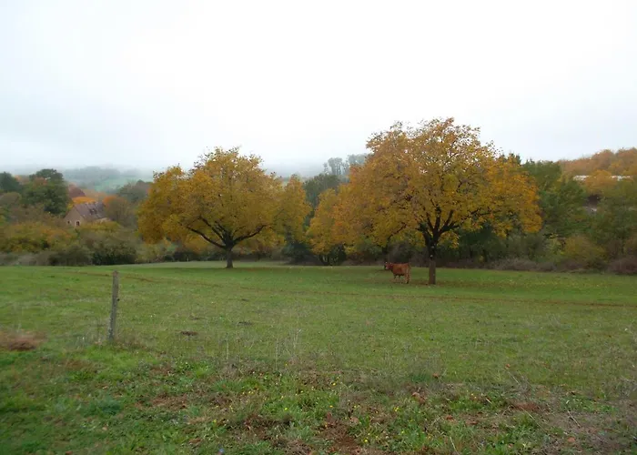 Confortable A Avec Internet - Fr-1-616-533 Feriehus *