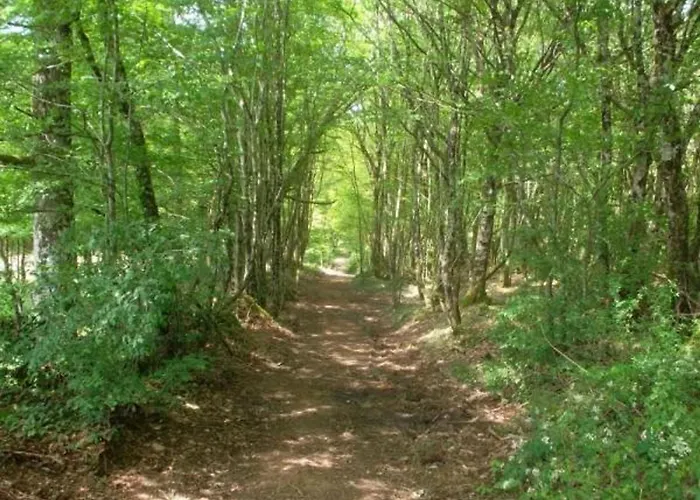 Confortable A Avec Internet - Fr-1-616-533 Saint-Sulpice-d'Excideuil