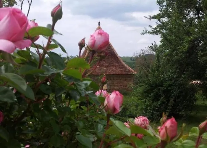 Confortable A Avec Internet - Fr-1-616-533