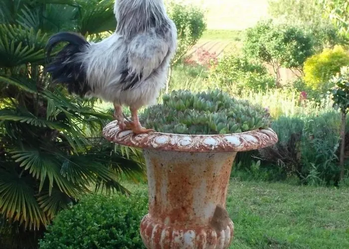 Confortable A Avec Internet - Fr-1-616-533 Saint-Sulpice-d'Excideuil