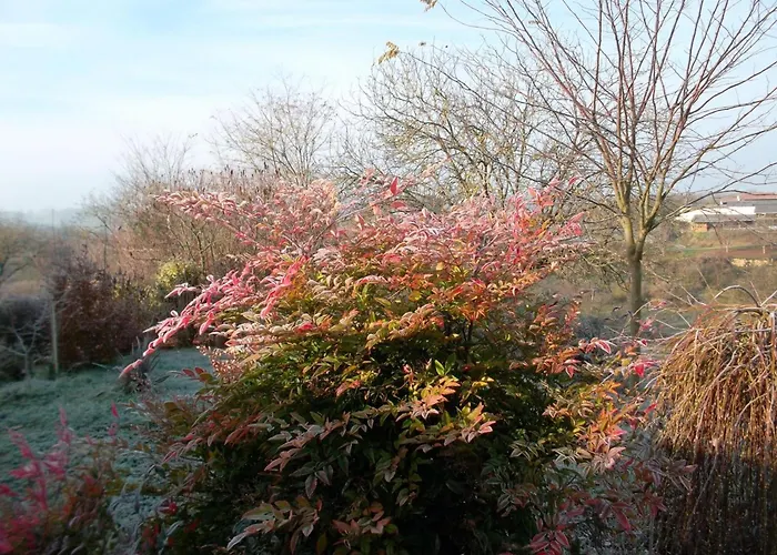 Дом отдыха Confortable A Avec Internet - Fr-1-616-533 Saint-Sulpice-d'Excideuil