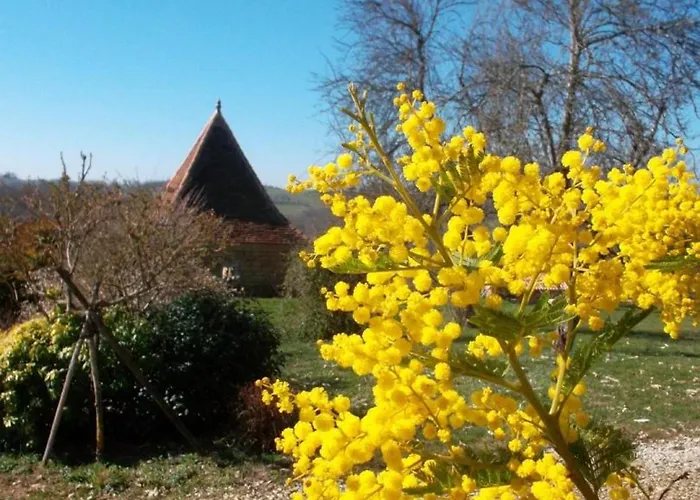 Дом отдыха Confortable A Avec Internet - Fr-1-616-533 *